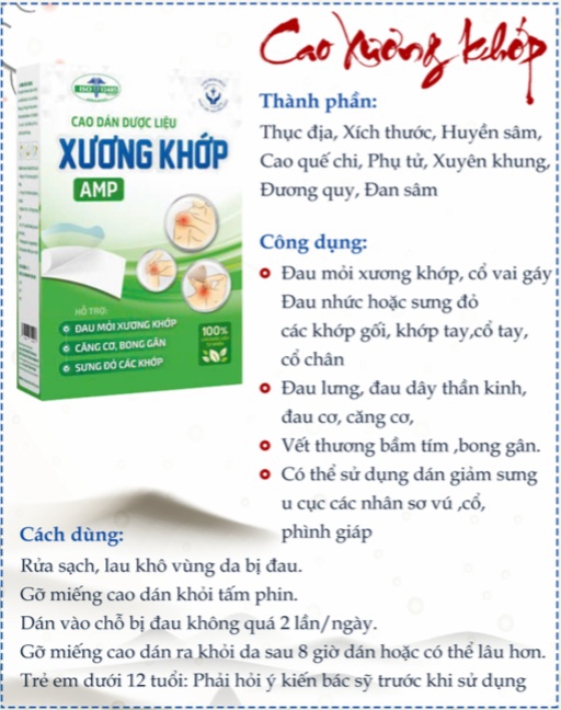 Cao dán Đông Y ( Hộp 50 miếng )